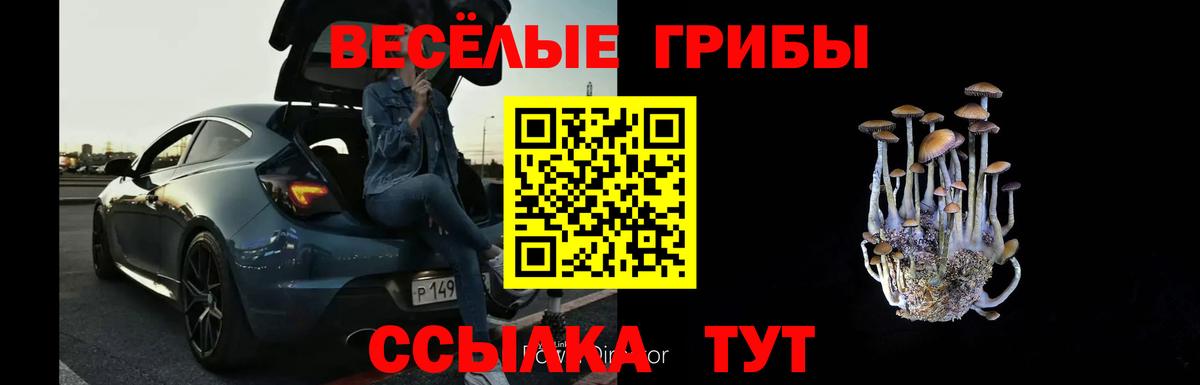Партизанск  Псилоцибиновые грибы Cubensis  Вход с VPN 